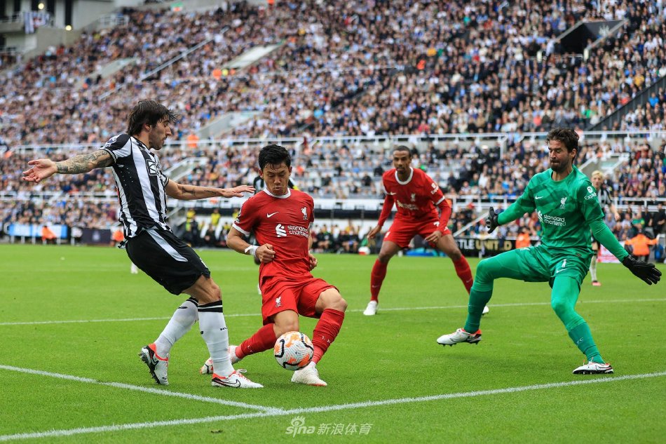 表现也揭示 表现也揭示