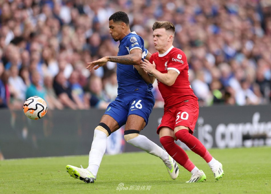 分享更加近 分享更加近